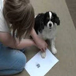 Pawprint Barrel Bead - Little Fingers 'n' Toes